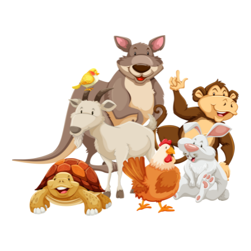 Animals